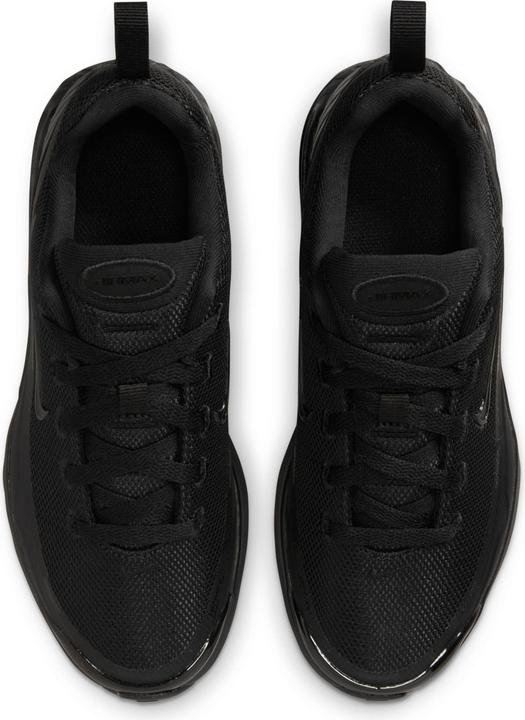 Image du produit Nike Air Max Bia (40)