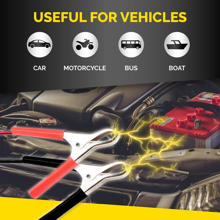 Actual product image Dunlop charger (12V, 6V, 1 A)