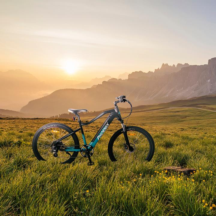 Produktbild Phoenix LSM015 (48 cm)