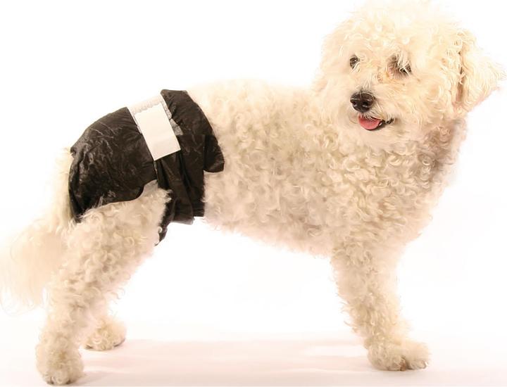 Actual product image Swisspet Doggy Pamy's disposable dog diapers (Dog)