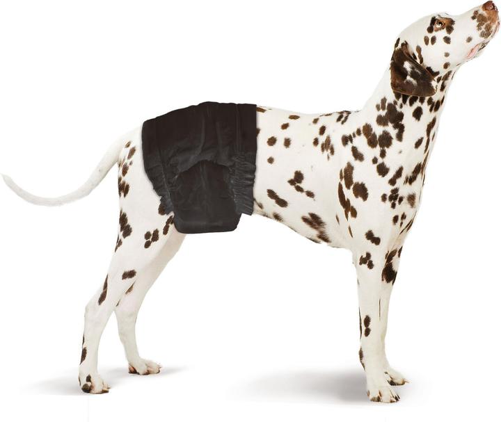 Image du produit Swisspet Couches pour mâles (Chien)
