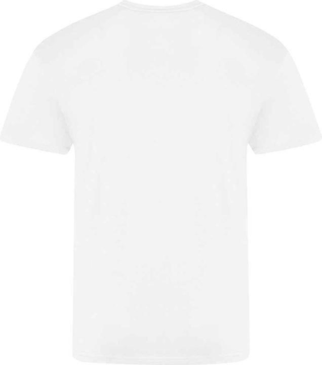 Produktbild Awdis The 100 TShirt (4XL)