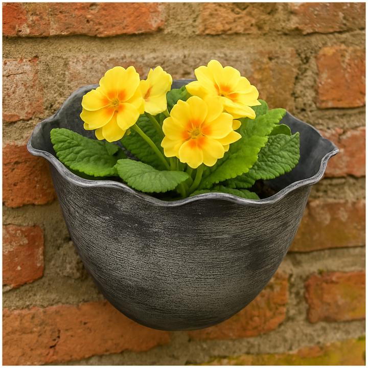 Produktbild HTI-Living Pflanzschale Nessa Muschel Wandmontage (26 cm)