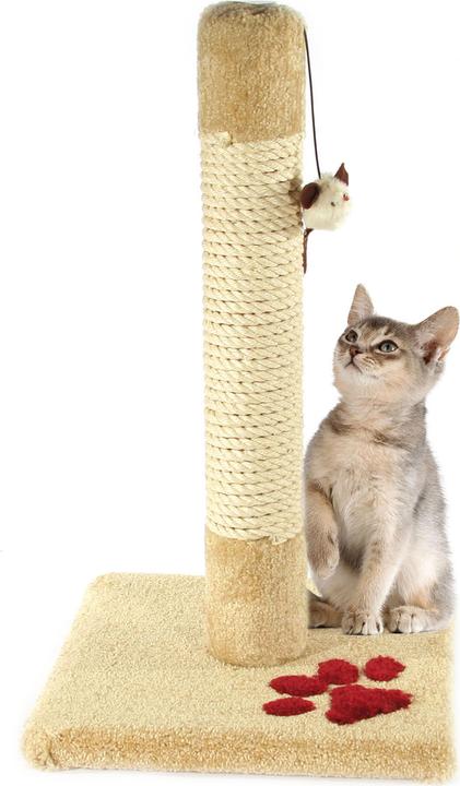 Swisspet Sisalsäule Mikey 35x35x60cm (Kratzspielzeug Katze)