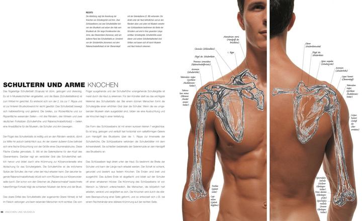 Immagine prodotto Anatomie für Künstler (Tedesco, Sarah Simblet, 2021)