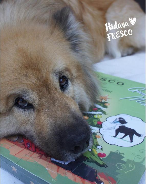 Produktbild Fresco Martin Rütter Adventskalender (Adult, 1 Stk., 180 g)