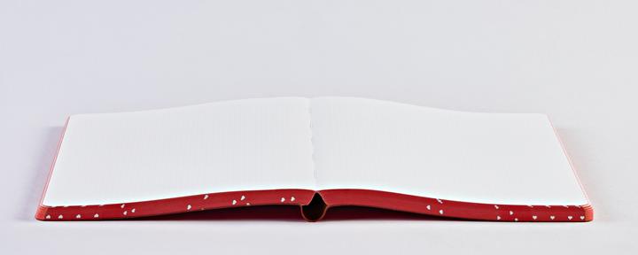 Immagine prodotto Nuuna Grafica L, cuore cuore (L, 165 x 220 mm)