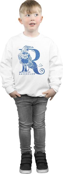 Produktbild Ravenclaw Glitter Sweatshirt Jungen (152, 158)