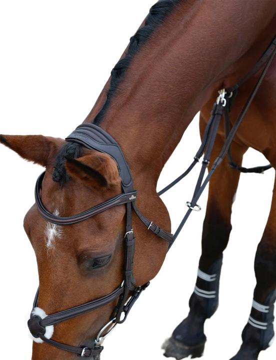 Produktbild Collegiate GrackleZaumzeug Leder