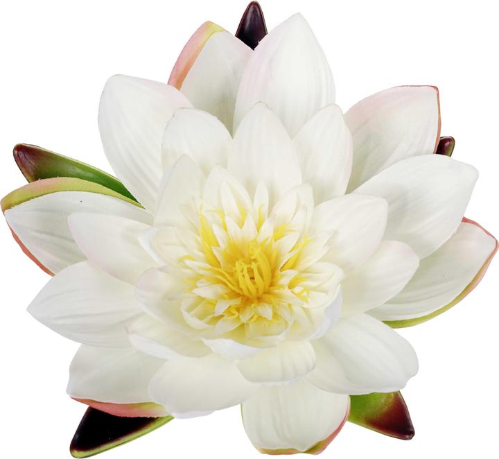 Image du produit Luwatex Nénuphar