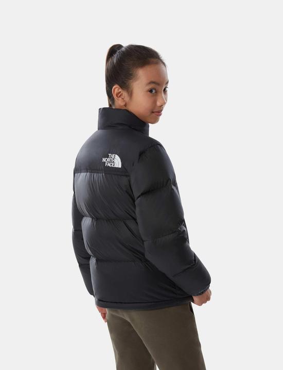 Actual product image North Face Nuptse down jacket (L)