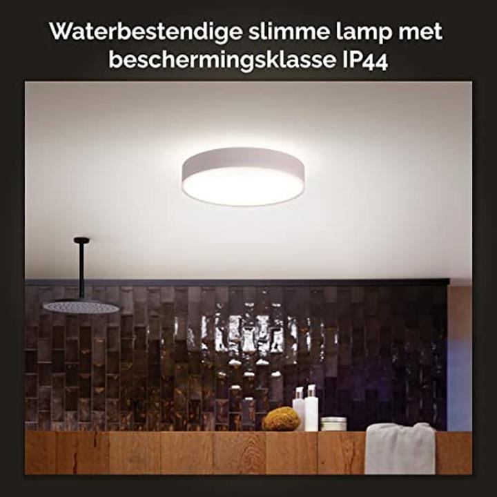 Produktbild Philips Hue White Ambiance Devere (2400 lm)