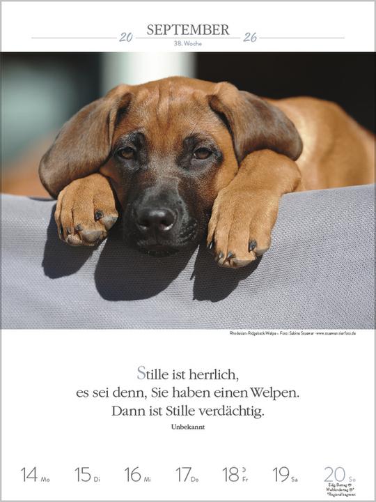 Produktbild Literaturkalender Hunde 2026 (Spezial)