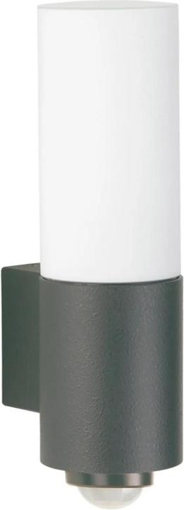 Actual product image Albert Leuchten Outdoor lights with motion detector (E27, IP54)
