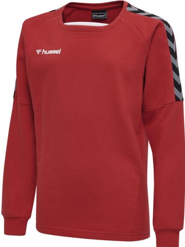 Image du produit hummel Authentique Sweat D'Entraînement Pour Enfants (176)