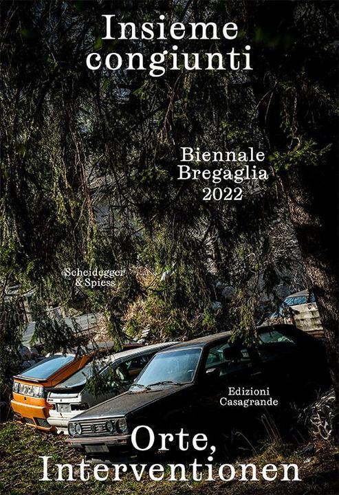 Actual product image Insieme congiunti. Orte, Interventionen (German, Italian, Anna Vetsch, Bigna Guyer, 2022)