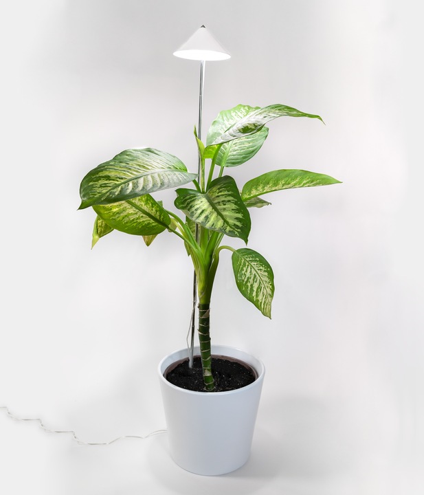 Actual product image Parus by Venso Sunlite XL 25 (LED, 230 V)