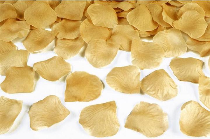 Immagine prodotto Partydeco Petali di rosa (100 pz.)