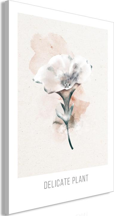 Image du produit Artgeist Delicate Plant (1 Part) Vertical (80 x 120 cm)