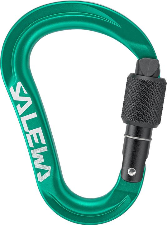 Actual product image Salewa Ortles Hms S Carabiner