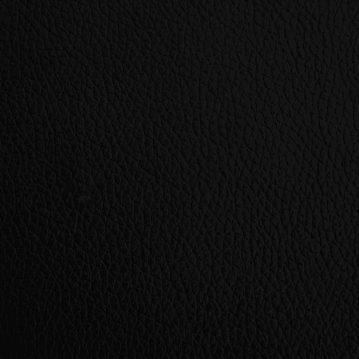 Image du produit vidaXL Jase (Chien)