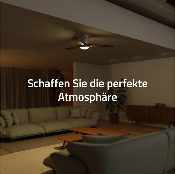 Produktbild Hombli Deckenventilator mit Licht (43 dB)