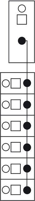 Immagine prodotto Wago Modulo distributore potenziale