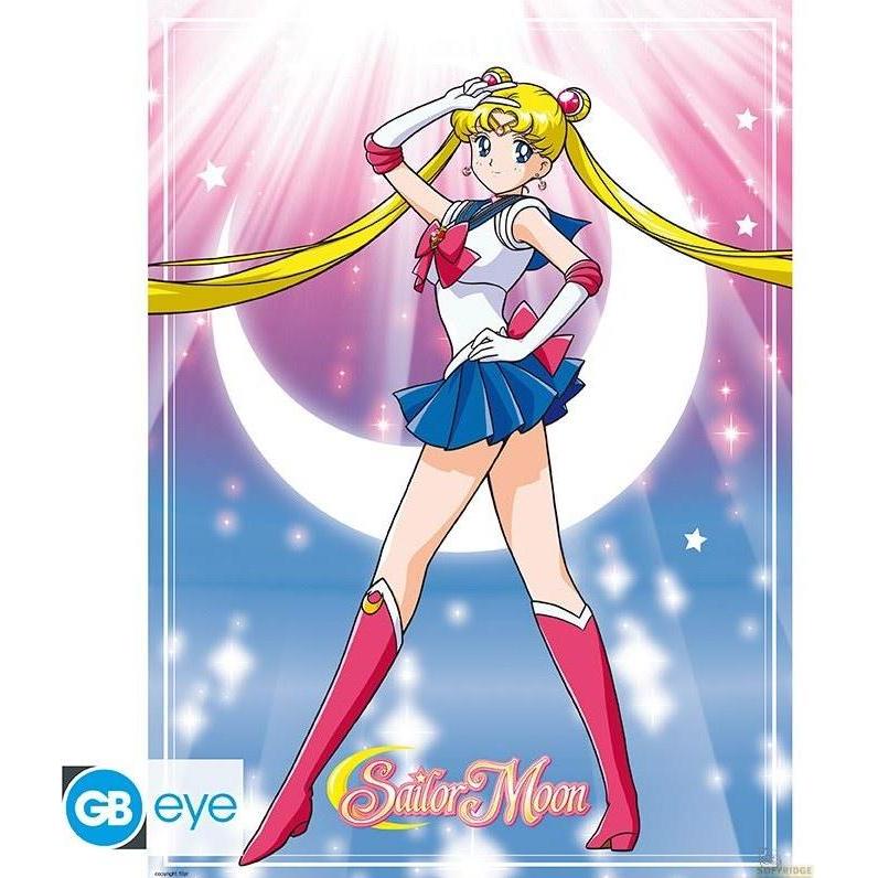 Thumbnail - ABYstyle, Bilder, Sailor Moon - Sailor Moon & Katzen (52 x 38 cm)