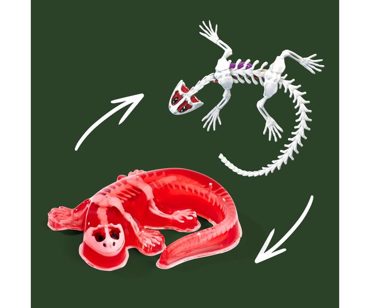 Productafbeelding Simba Scout ontleed-salamander