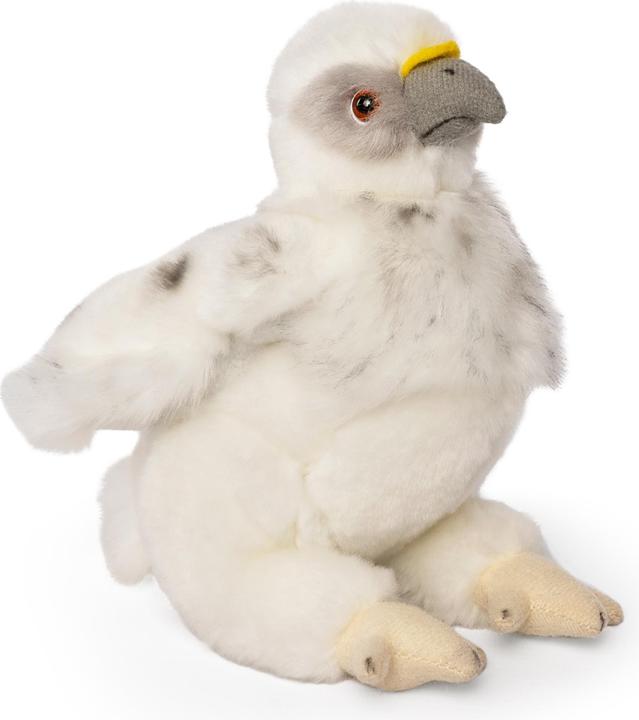 Produktbild Living Nature Weisskopfseeadler Küken (15 cm)
