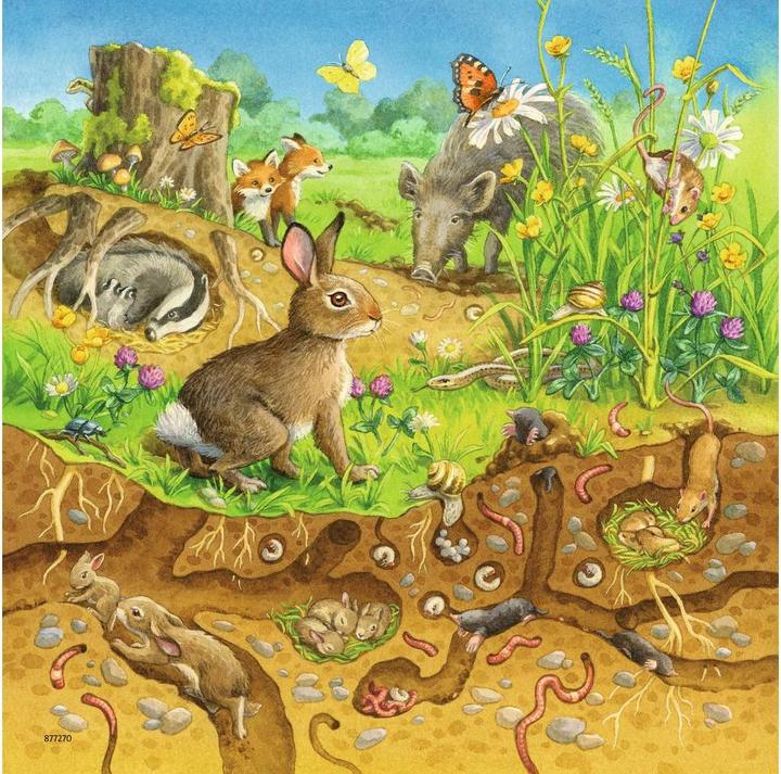 Produktbild Ravensburger Tiere in ihren Lebensräumen (49 Teile)