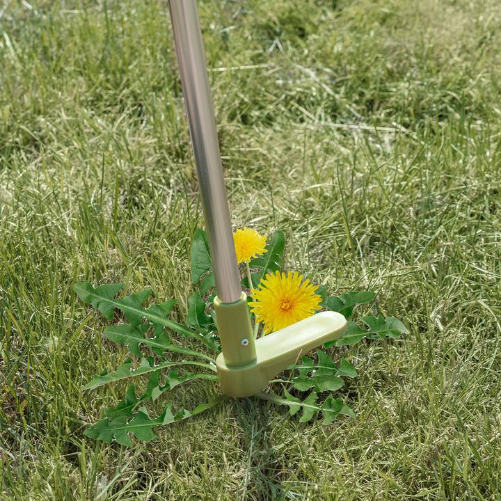 Actual product image Kinzo Weed puller