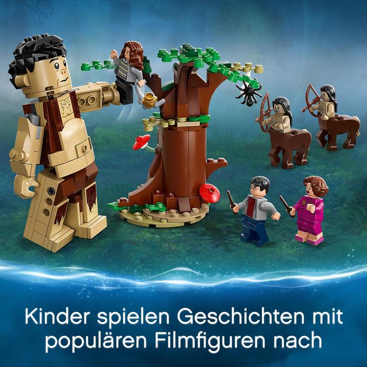 Image du produit LEGO La forêt interdite : rencontre avec l'omble (75967, LEGO Harry Potter)