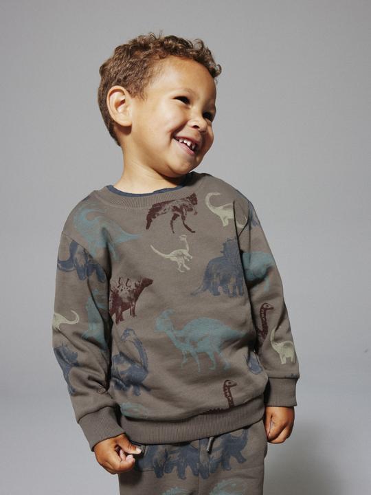 Immagine prodotto Name it Bio-Baumwoll Sweatshirt (110)