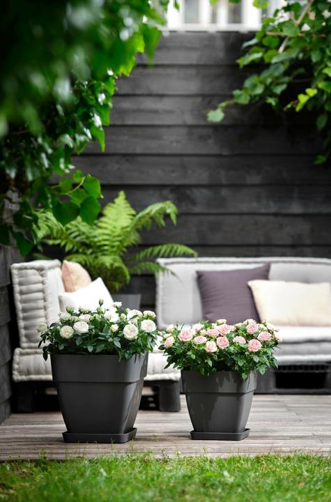 Produktbild Elho Blumentopf (30 x 28.80 x 28.80 cm)