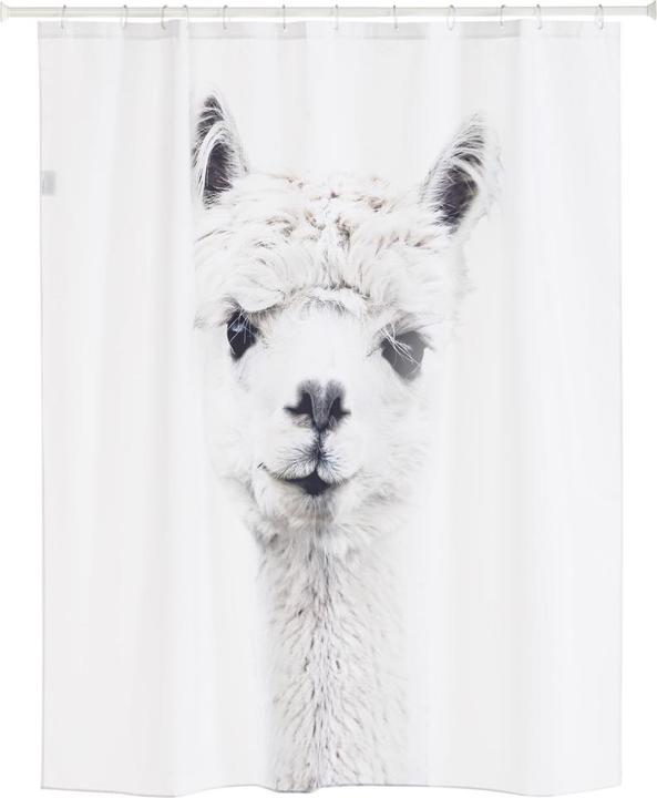 pfister Alpaca