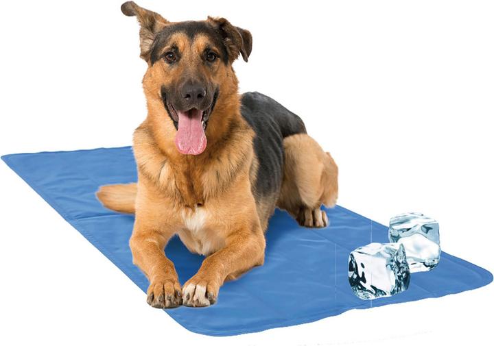 Image du produit Swisspet Cool (Chien, Chat)