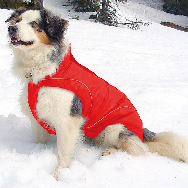 Image du produit Swisspet Veste softshell Climaro (XS, Manteau pour chien)