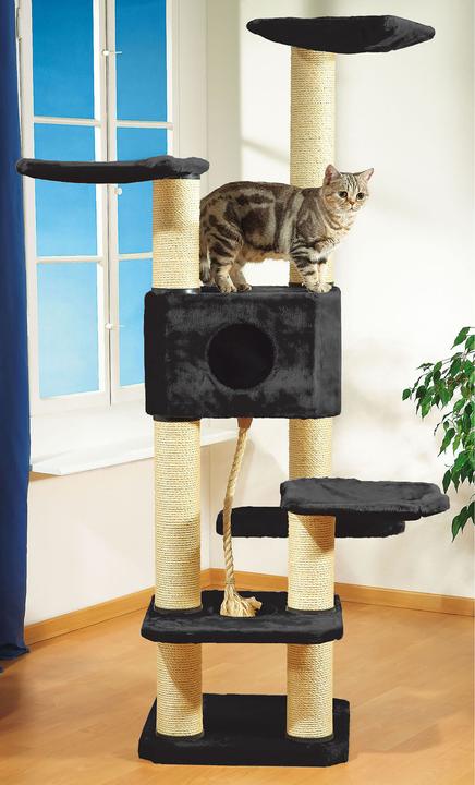 Actual product image Swisspet Scratching post Annabelle (184 cm, Black)
