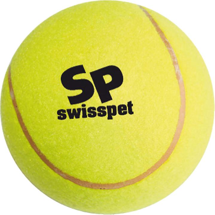 Immagine prodotto Swisspet Smash & Play (Palla giocattolo per cani)