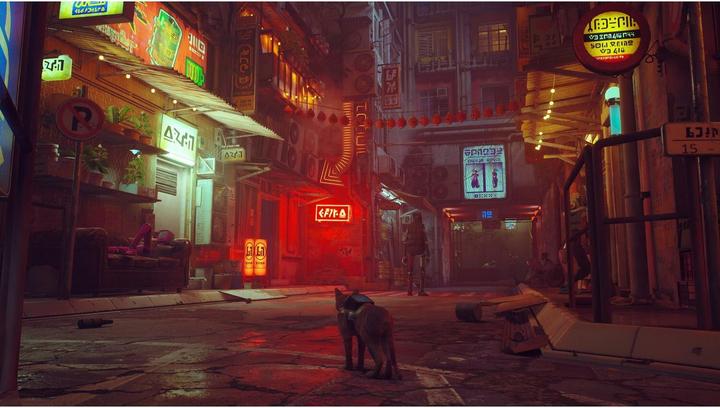 Image du produit Skybound Stray (Switch, DE)