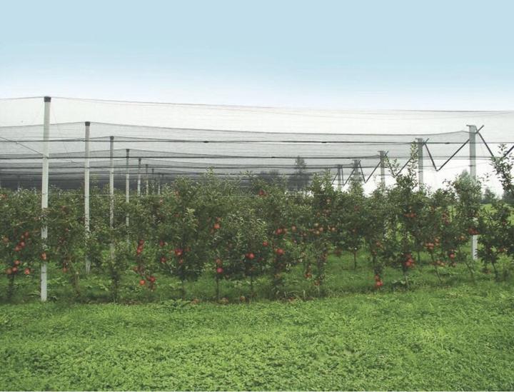 Produktbild Windhager Hagelschutz-Netz
