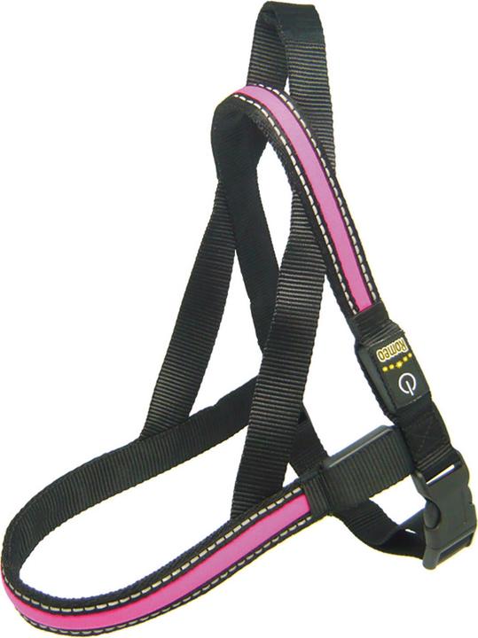 Produktbild Swisspet Leuchtgeschirr Fluo (L, Hund)