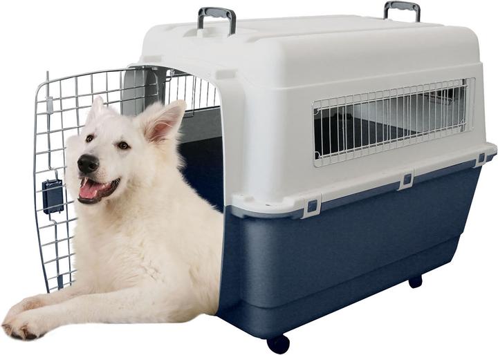 Actual product image Swisspet Transport box FB6 (Dog, Lockable)