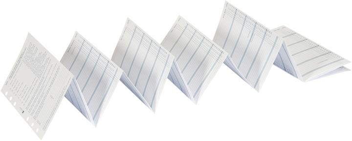 Succes Agenda Standard Jahrespl. 2027 843159000 6M/1S gefalzt 9.5x17.1cm (95 x 171 mm, Allemand)