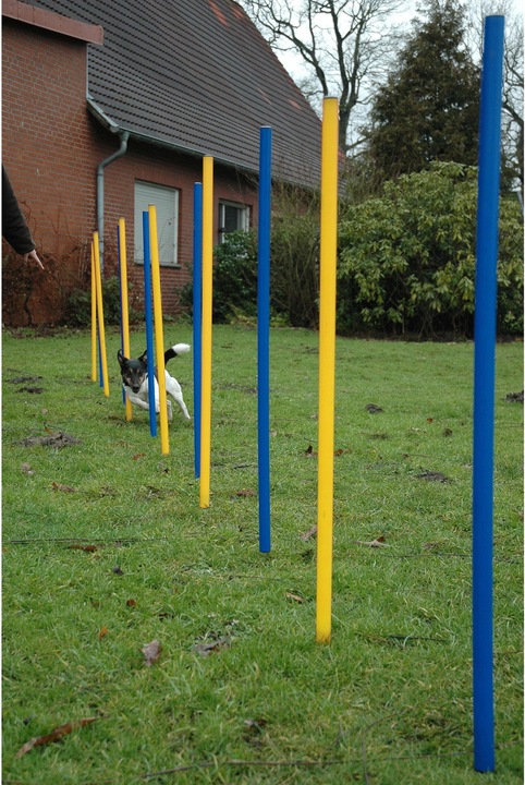 Image du produit Dobar Kit de slalom (Agility)