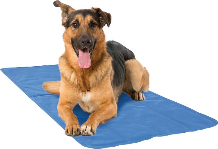 Image du produit Swisspet Cool (Chien)