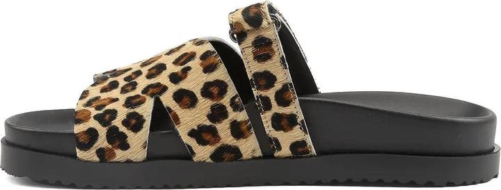 Image du produit Andrea Sabatini Cavalino (35)