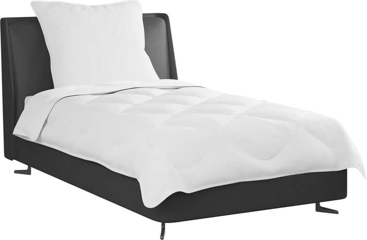 Produktbild vidaXL Bettdecken Set (450 g, Polyester, 220 x 135 cm)