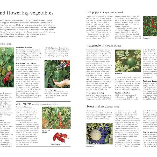 Actual product image RHS Encyclopedia of Gardening New Edition (English, 2022)